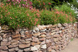 Ornamental garden with wall and Mimulus Aurantiacus