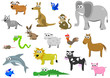 Comic Tiere Comic Tiere