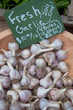 Fresh Garlic at Farmer's Market Fresh Garlic at Farmer's Market