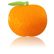 Mandarin orange2