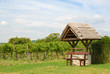 weinanbau