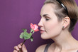wild rose