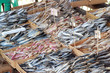 Fish market in Tanjay city in the Philipines