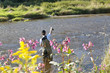 Sportfischer im Fluss