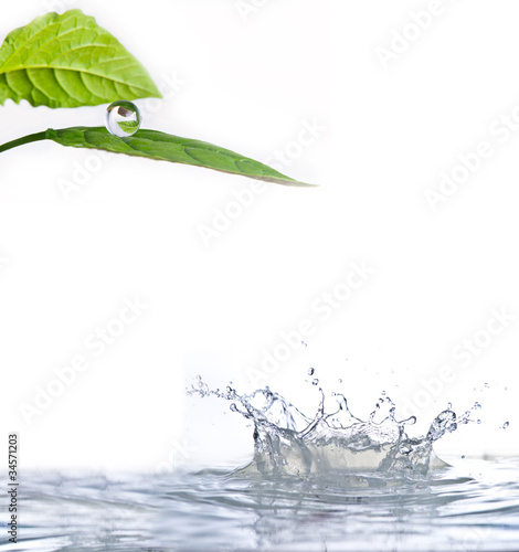 Photo: Water Water