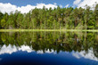 Summer Landscape in the national park