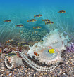 Underwater world