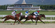 Foto: Horse racing. Horse racing.