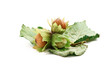 Foto: tre nocciole - three filberts over white background tre nocciole - three filberts over white background