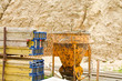 Foto: Baustelle Baustelle