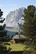 il Sassolungo Dolomiti