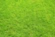 Grasfläche q.