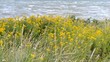 Blick aufs Meer