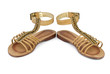 Pair of brown leather female sandals