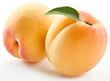Apricots with leaves