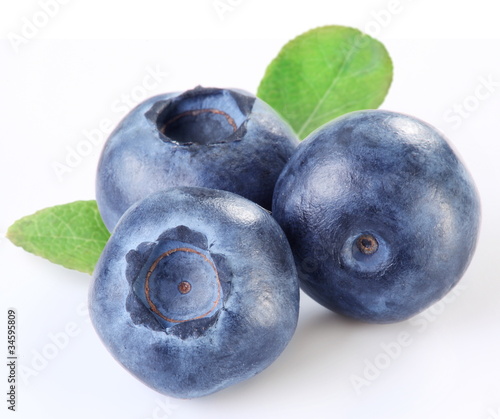 Photo: Blueberries with leaves Blueberries with leaves