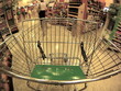 Speeding shopping cart