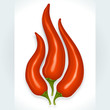 Vector: Red hot chili pepper in the shape of fire sign Red hot chili pepper in the shape of fire sign