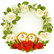 Vector frame with white and red rose and golden wedding rings Vector frame with white and red rose and golden wedding rings