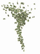 Financial Tornado