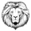 lion head