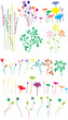 FLEURS DES PRES