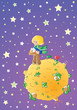Little prince