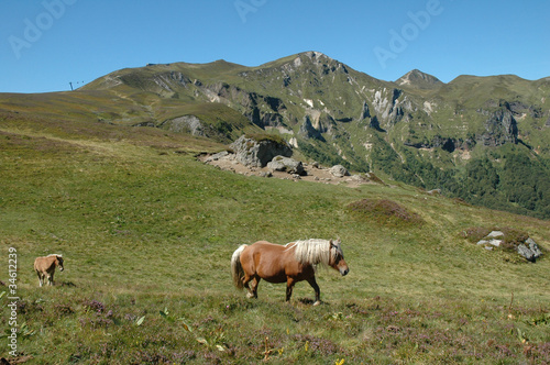 photo par michelgrangier