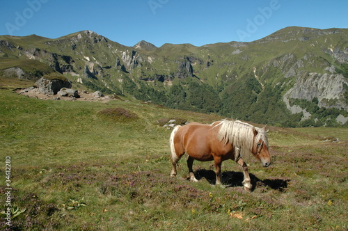 photo par michelgrangier