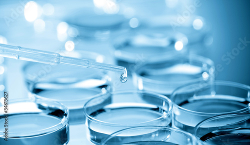 Photo: Cell Culture Plate in bio laboratory Cell Culture Plate in bio laboratory