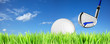 Golf theme background. Panoramic composition in high resolution.