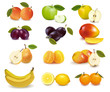 Group with different sorts of fruit. Vector. Group with different sorts of fruit. Vector.