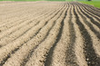 Plowed field in an evening light.