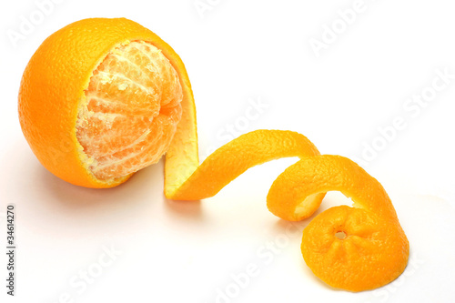 Photo: orange orange