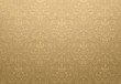 Golden Vector Texture