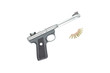 Guns and Ammo