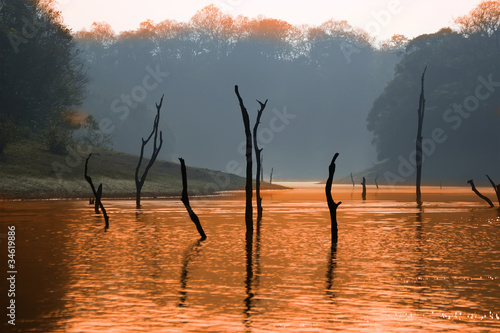 Photo: lake, Periyar National Park, Kerala, India lake, Periyar National Park, Kerala, India