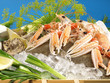Seafood