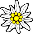Edelweiss