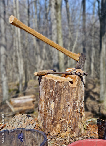 Photo: Axe in Tree Stump Axe in Tree Stump