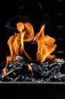 Holzkohle Feuer