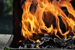 Holzkohle Grill mit Feuer Flammen