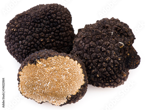 Photo: Black truffles on a white background Black truffles on a white background