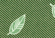 Fond ligné et feuille . Fond ligné et feuille .