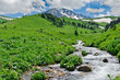 Mountain river