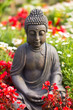 Photo en ligne au meilleur prix Buddha im Blumenfeld