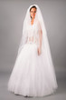 beautiful bride under veil dress on the neutral background