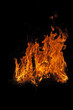 Feuer (3)