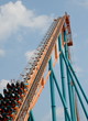 Roller Coaster Roller Coaster