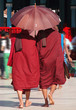 Buddhist monks, Burma